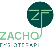 Zacho Physiotherapy Logo